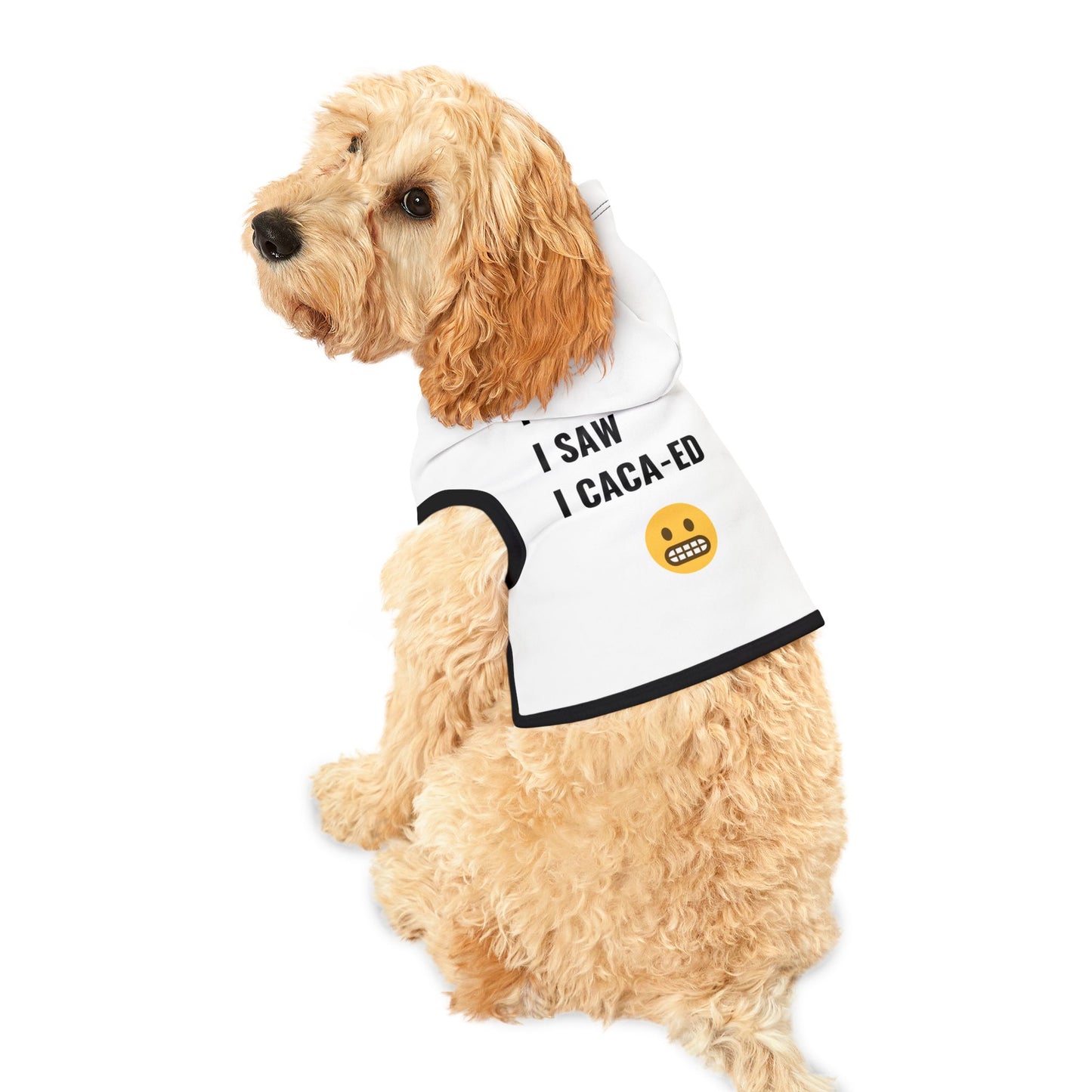 I Came I Saw I Caca-ed Pet Hoodie