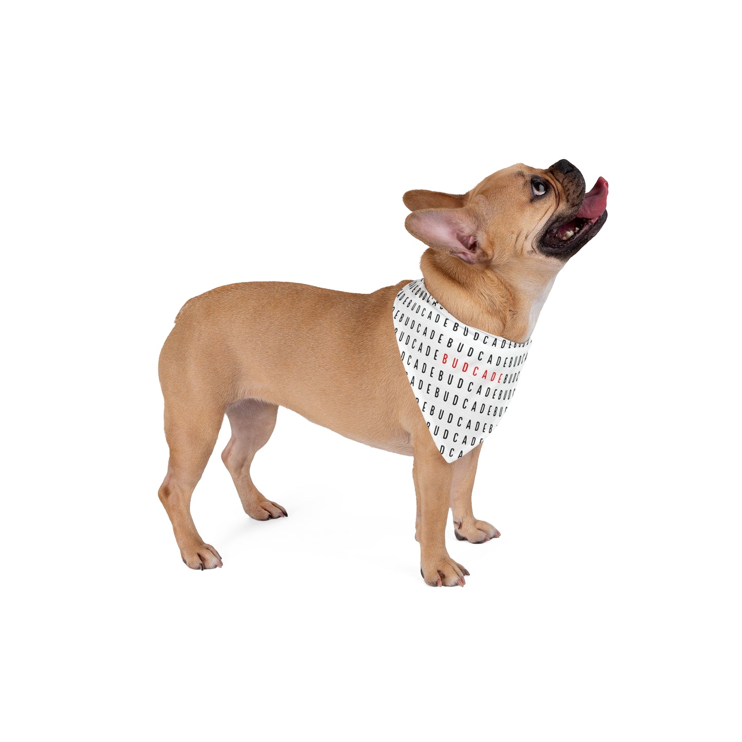 Budcade Pattern Pet Bandana