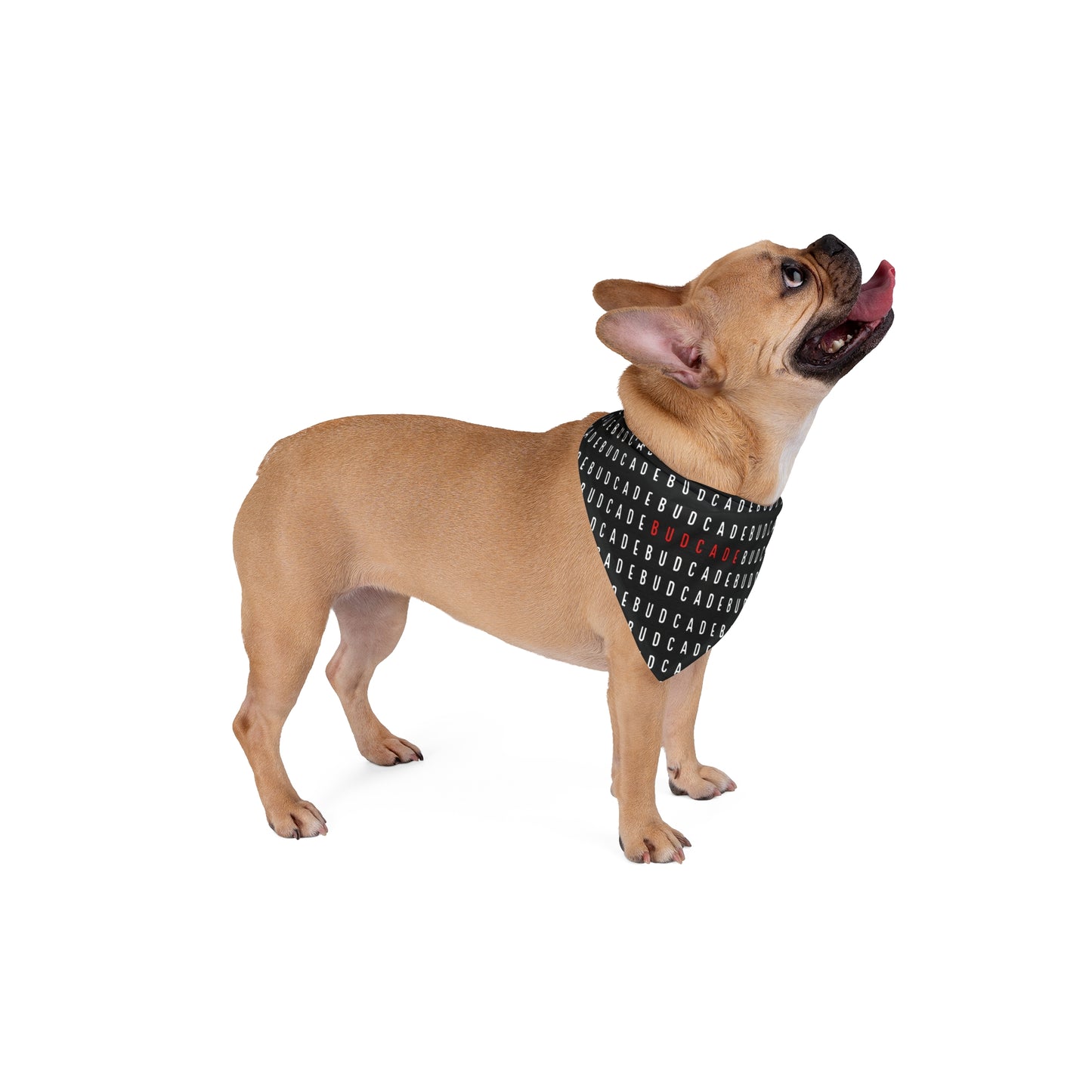 Budcade Pattern Pet Bandana (White on Black)