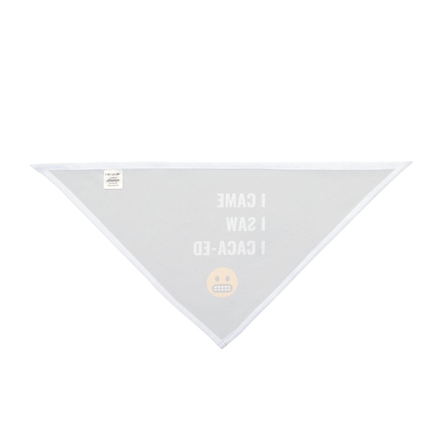 I Came I Saw I Caca-ed Pet Bandana