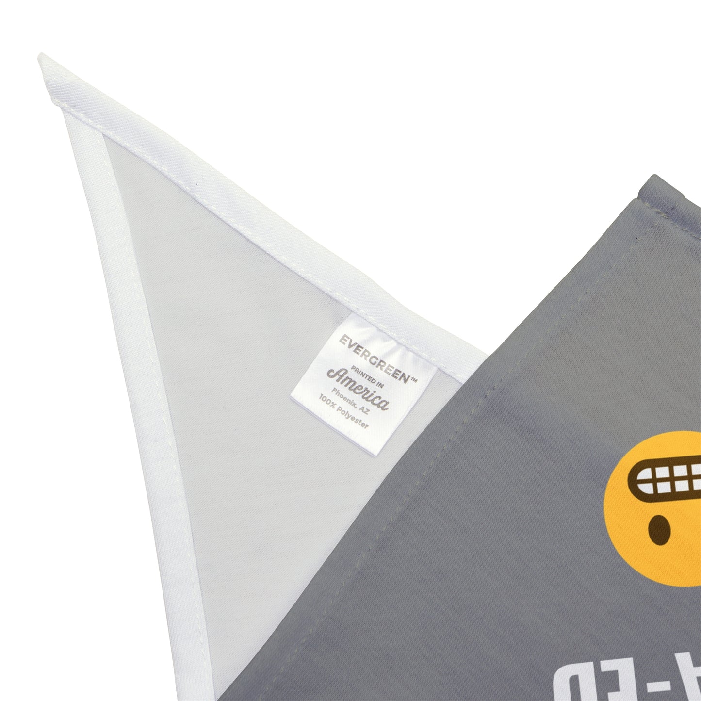 I Came I Saw I Caca-ed Pet Bandana