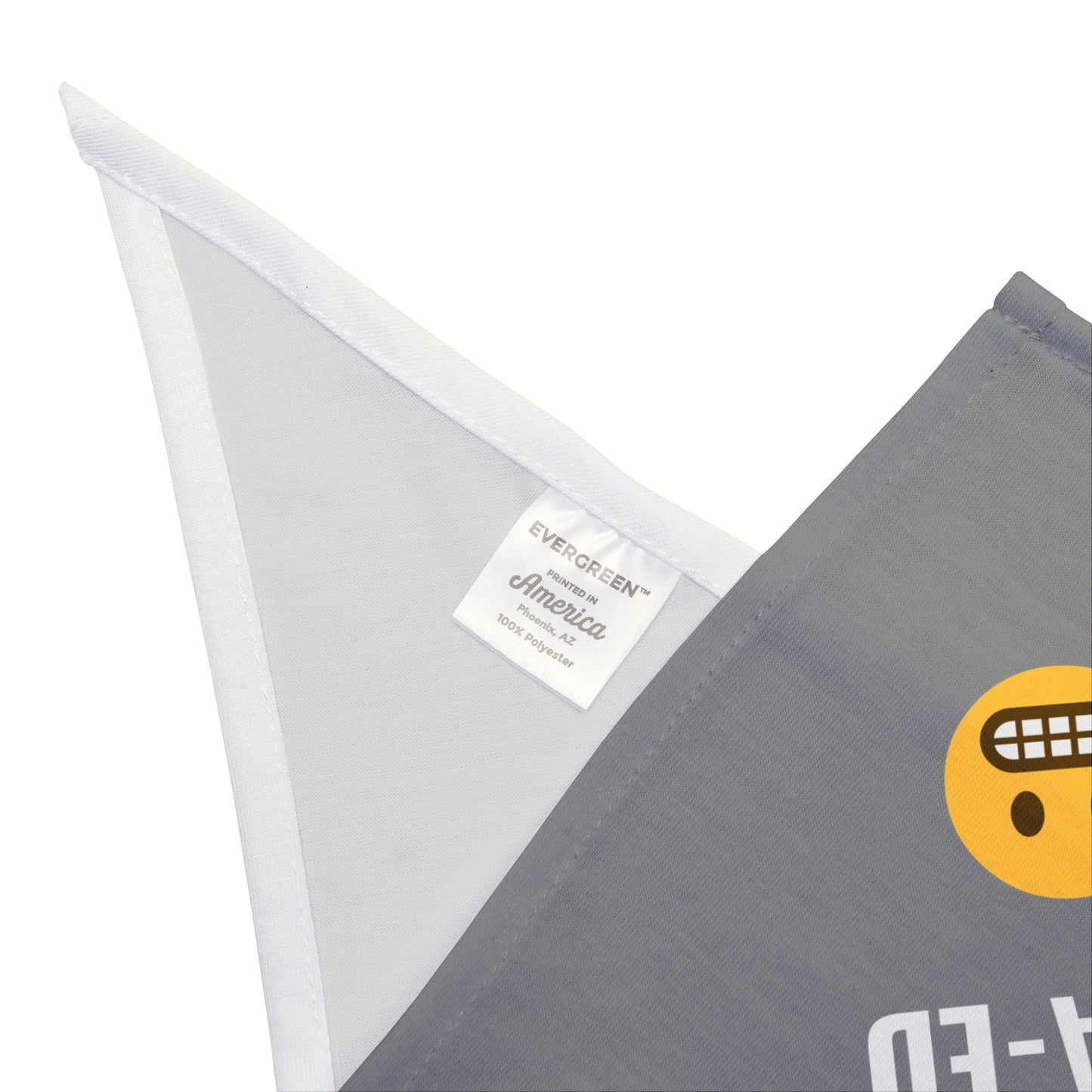 I Came I Saw I Caca-ed Pet Bandana