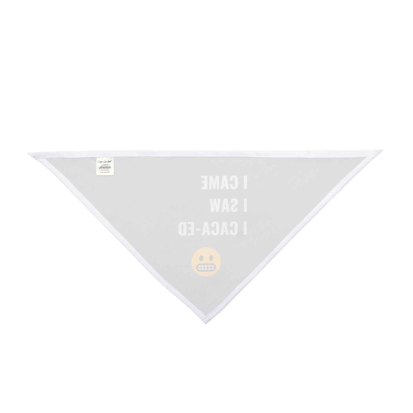 I Came I Saw I Caca-ed Pet Bandana