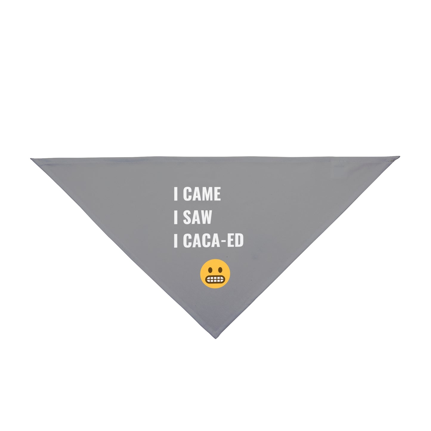 I Came I Saw I Caca-ed Pet Bandana