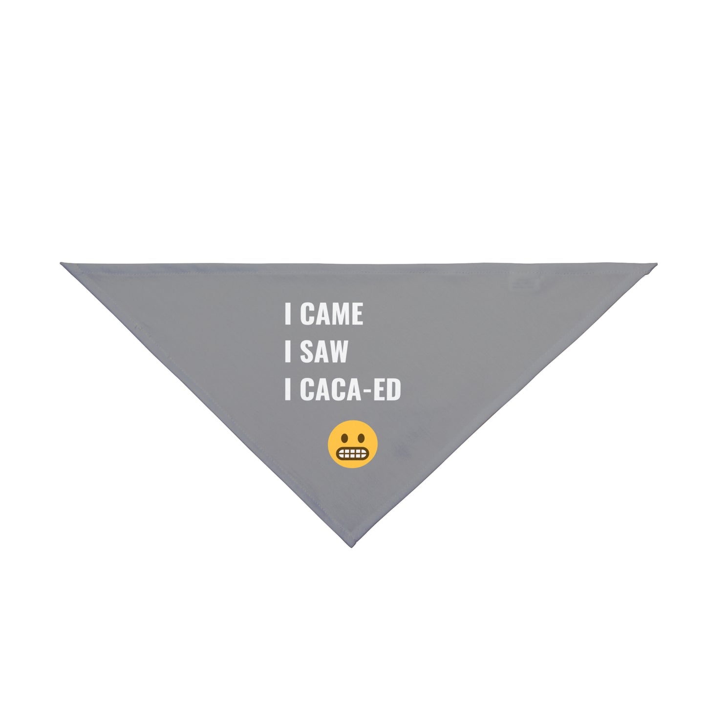 I Came I Saw I Caca-ed Pet Bandana